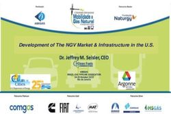 Development of The NGV Market & Infrastructure in the U.S.