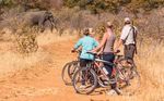 A JOURNEY OF EXPLORATION - 48 HOURS IN HARARE VICTORIA FALLS - A SEASON FOR EVERYONE PEDALLING THROUGH HWANGE'S WILDERNESS FOLLOWING THE FL Y TO ...