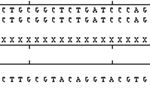 Nucleotide Sequencing and SNP Detection of Toll-Like Receptor-4 Gene in Murrah Buffalo (Bubalusbubalis) - bomonditruyengiong
