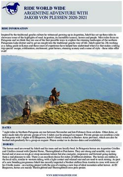 RIDE WORLD WIDE ARGENTINE ADVENTURE WITH JAKOB VON PLESSEN 2020-2021