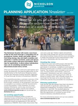 How often do you get a chance to change the entire town centre? - JTP