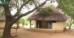 3 DAY GUIDED KRUGER PARK SAFARI - THE LION TRAIL - Safaria