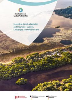 Ecosystem-based Adaptation and Insurance: Success, Challenges and Opportunities