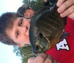 Fisheries Focus on Aitkin Area - Minnesota DNR