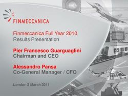 Pier Francesco Guarguaglini Chairman and CEO Alessandro Pansa Co-General Manager / CFO - Finmeccanica Full Year 2010 Results Presentation