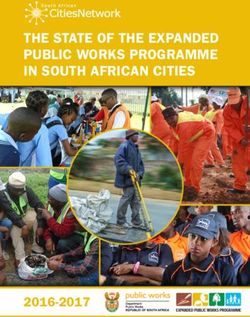 THE STATE OF THE EXPANDED PUBLIC WORKS PROGRAMME IN SOUTH AFRICAN CITIES 2016-2017 - SA Cities