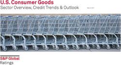 U.S. Consumer Goods Sector Overview, Credit Trends & Outlook - S&P Global