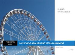 INVESTMENT ANALYSIS AND RATING ASSIGMENT - PROJECT: MICHELANGELO - PROYECTOS CIGA - Housers