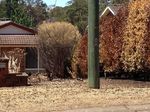 PREPARING YOUR PROPERTY FOR BUSH FIRE