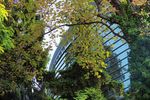 DISCOVER IMD Developing leaders Transforming organizations Impacting your future - IMD business school