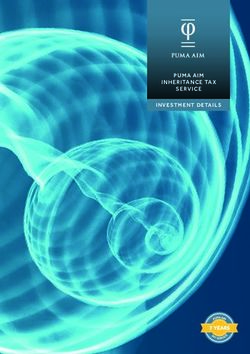 PUMA AIM INHERITANCE TAX SERVICE INVESTMENT DETAILS - Puma Investments