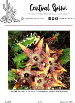 Facebook Succulent of the Month Orbea lutea ssp. vaga by Rick Rosenberg - CACSS