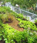 Urban Greenery & Architectural Products - Elmich Pte Ltd
