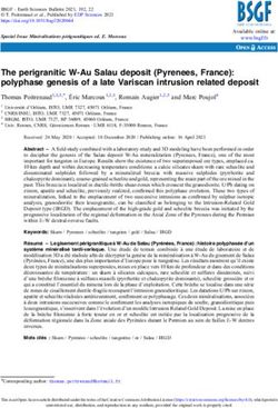 The perigranitic W-Au Salau deposit (Pyrenees, France): polyphase genesis of a late Variscan intrusion related deposit