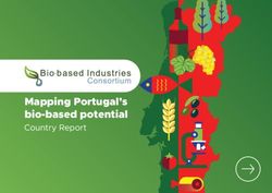 Mapping Portugal's bio-based potential - Country Report - The Bio-based ...