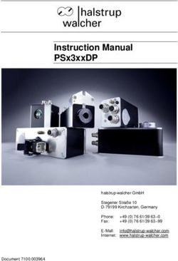 Instruction Manual PSx3xxDP - halstrup walcher