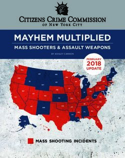 MAYHEM MULTIPLIED MASS SHOOTERS & ASSAULT WEAPONS 2018