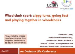 Wheelchair sport: zippy turns, going fast and playing together in wheelchairs