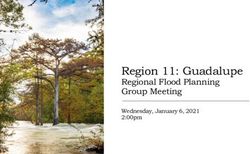 Region 11: Guadalupe Regional Flood Planning Group Meeting - Wednesday, January 6, 2021 2:00pm