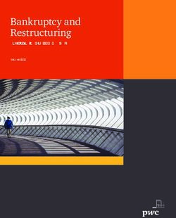 Bankruptcy and Restructuring - Year in review and 2019 outlook January 2019
