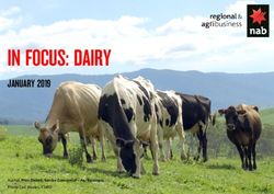 IN FOCUS: DAIRY JANUARY 2019 - Author Phin Ziebell, Senior Economist - Agribusiness - NAB Business Research