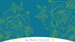 Boosting organic seed and plant breeding across Europe 2017 2021 - Liveseed