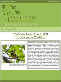 WAS May Count May 8, 2021 It's always the Warblers!