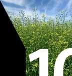 Yield10 Bioscience, Inc - NASDAQ: YTEN www.yield10bio.com Investor Presentation