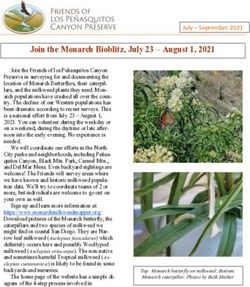 Join the Monarch Bioblitz, July 23 - August 1, 2021