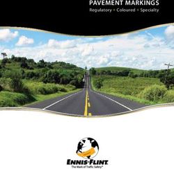 PAVEMENT MARKINGS Regulatory + Coloured + Specialty