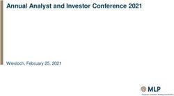 Annual Analyst and Investor Conference 2021 - Wiesloch, February 25, 2021 - MLP SE