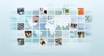 Carrefour in Argentina: Local Profile - Company Profile