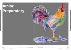 Junior Preparatory - Pretoria Chinese School