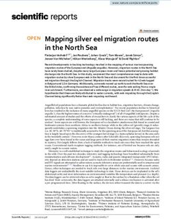 Mapping silver eel migration routes in the North Sea - Nature