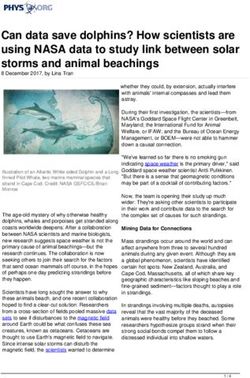 Can data save dolphins? How scientists are using NASA data to study link between solar storms and animal beachings - Phys.org