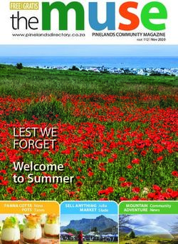 The - LEST WE FORGET Welcome to Summer - November 2020