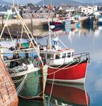 The Music & Magic of Ireland - A musical, magical and mad tour of the Emerald Isles - Operatunity