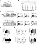 MCU-induced mitochondrial calcium uptake promotes mitochondrial biogenesis and colorectal cancer growth - Nature