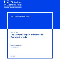 The Economic Impact of Depression Treatment in India - DISCUSSION PAPER SERIES
