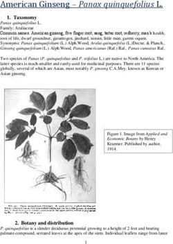 American Ginseng - Panax quinquefolius L.