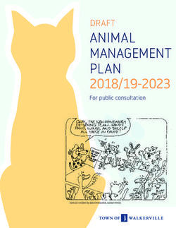ANIMAL MANAGEMENT PLAN - 2018/19-2023 For public consultation - Town of Walkerville