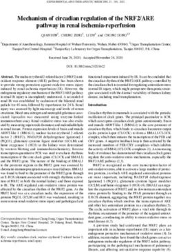 Mechanism of circadian regulation of the NRF2/ARE pathway in renal ischemia reperfusion