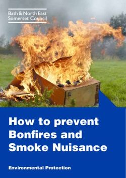 How to prevent Bonfires and Smoke Nuisance - Environmental Protection