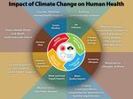 2020 CLIMATE CHANGE ADAPTATION FRAMEWORK