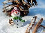 Young. About us Pandemic time - News