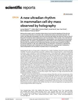 A new ultradian rhythm in mammalian cell dry mass observed by holography