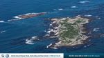 HOSTED BY - 2021 Southern African Shark ...