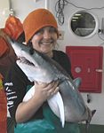HOSTED BY - 2021 Southern African Shark ...