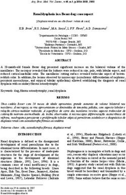 Renal dysplasia in a Boxer dog: case report