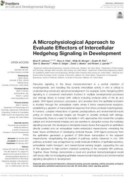 A Microphysiological Approach to Evaluate Effectors of Intercellular Hedgehog Signaling in Development - Frontiers